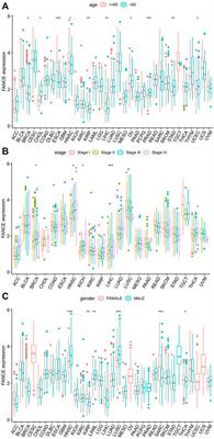 Pan-cancer analysis of the prognostic and immunological role of Fanconi anemia complementation group E